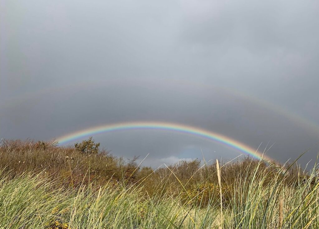 Regenbogen als Symbol der gemeinsamen Stärke beim Netzwerk für pflegende Angehörige